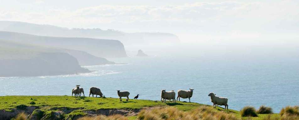 Working farm - Annandale