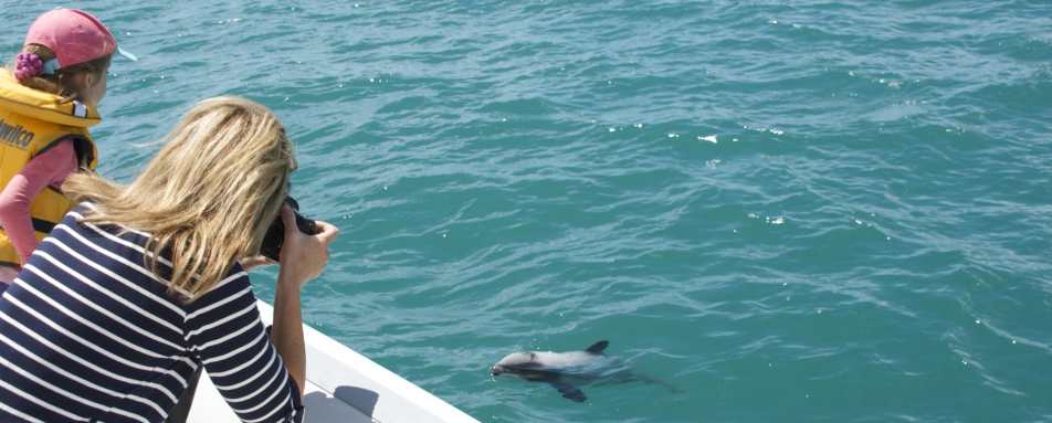 Nature cruise - Annandale