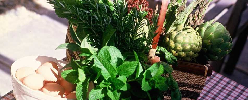 Home grown produce - Edenhouse