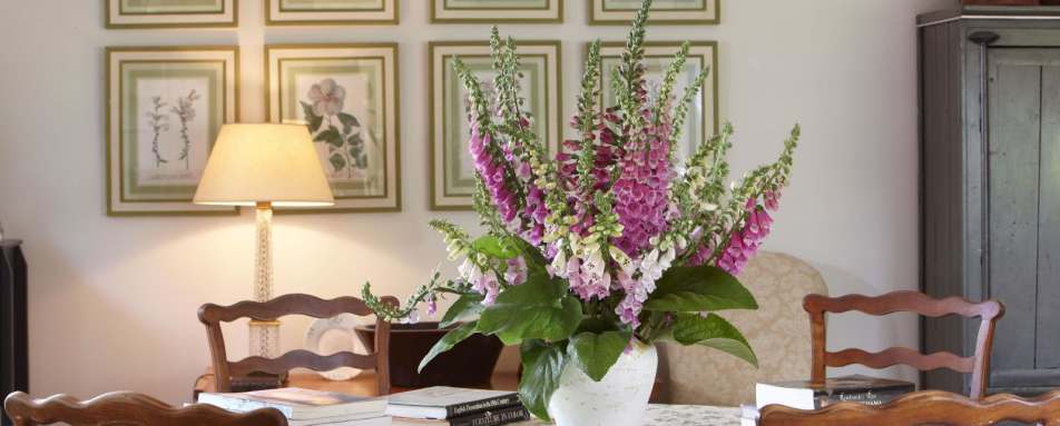 The Studio - Edenhouse