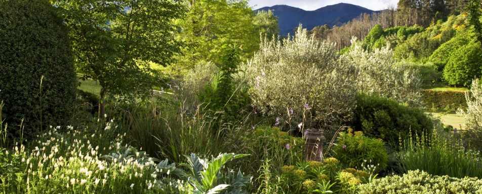 Lush, green gardens - Edenhouse