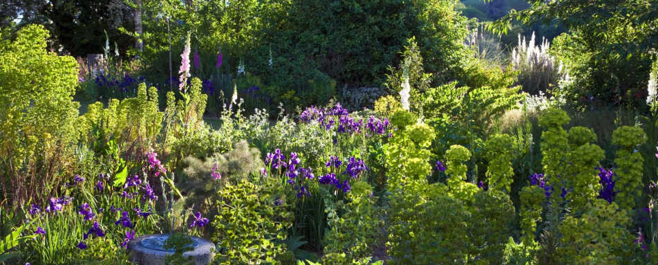 Gardens in bloom - Edenhouse