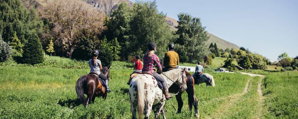 Horse Riding - Mahu Whenua Ridgeline Homestead & Eco Sanctuary