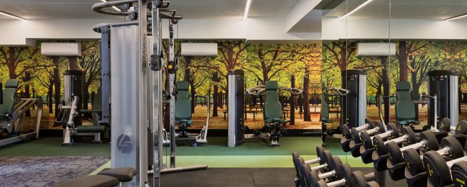 Gym - Sofitel Wellington 