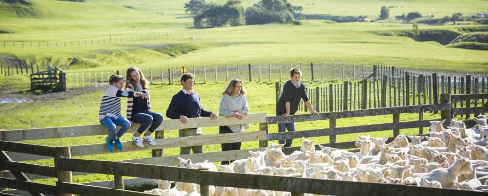 Shepherding Tour - The Farm at Cape Kidnappers 