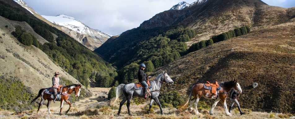 Horseriding from The Lindis 