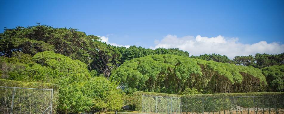 Tennis Court - Wharekauhau 
