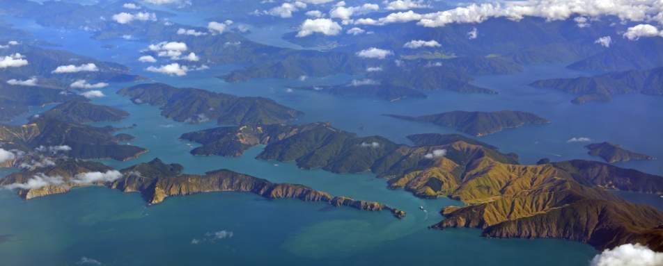 Seafood Odyssea Cruise Shared