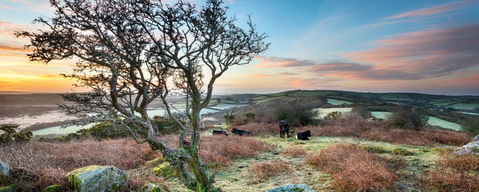 Cornwall and West Country