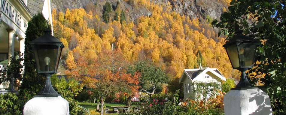 Grounds - Walaker Hotel