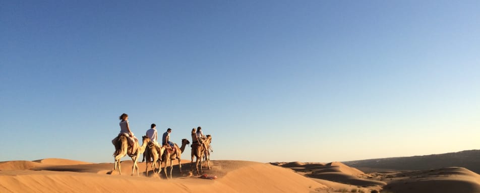 Camel Ride into Camp - Canvas Club