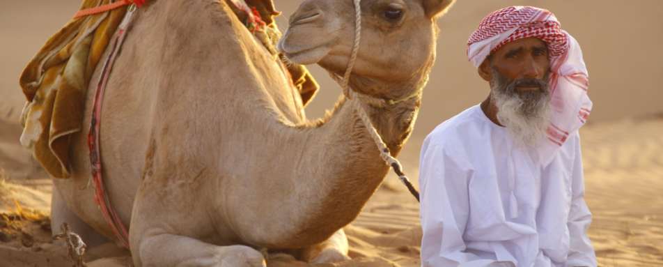 Camel - A Honeymoon to Oman and the Maldives