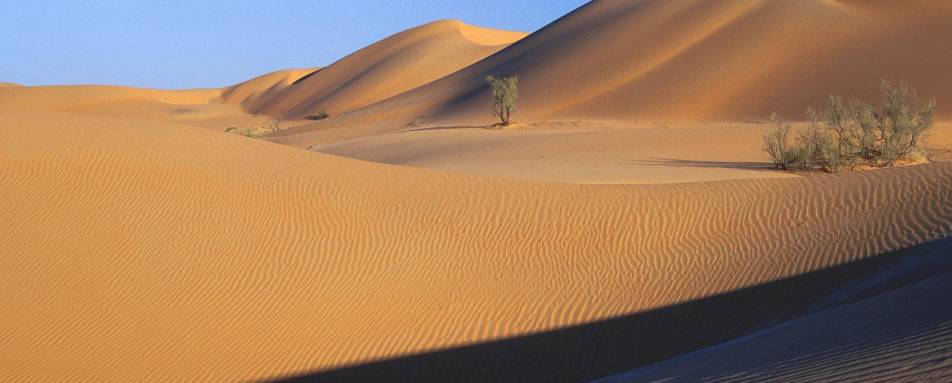 Luxury Oman Holidays - Wahiba Sands