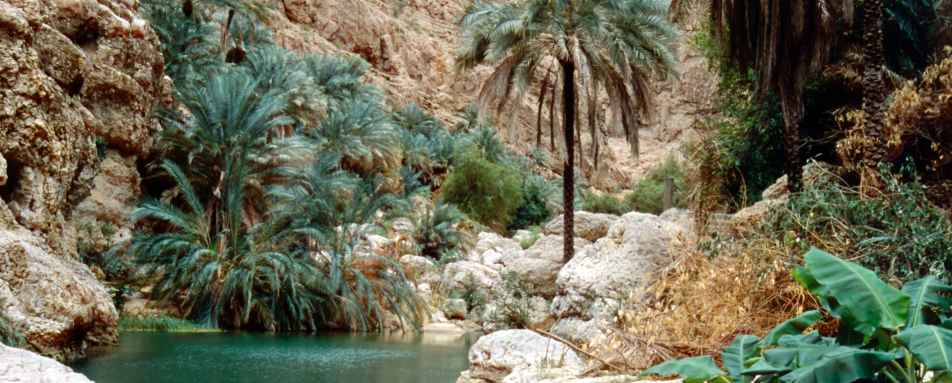Mountains, Muscat and Beach