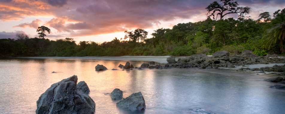 Island shoreline - Isla Palenque