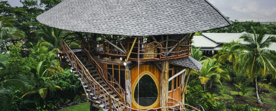 Tree house 