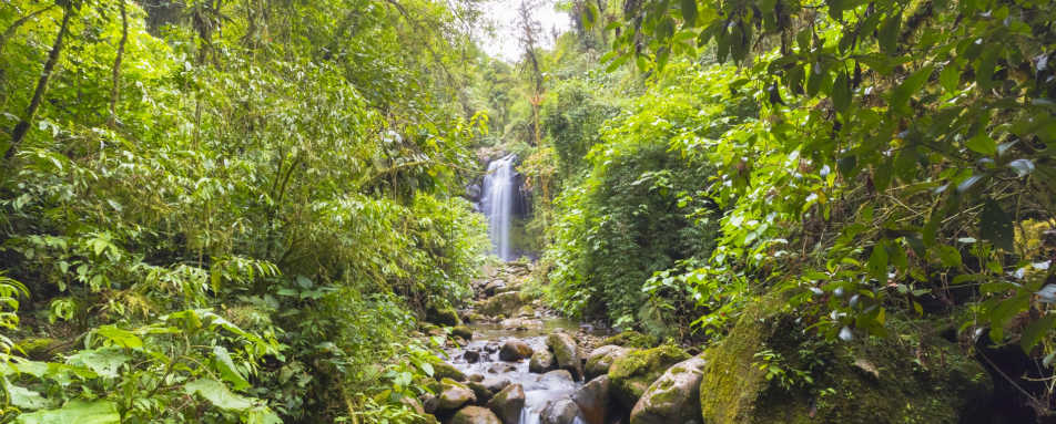 Boquete Cloud Forest waterfall