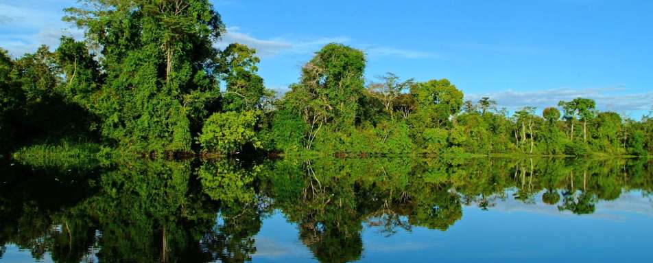 Amazon Scenery - Aria Amazon