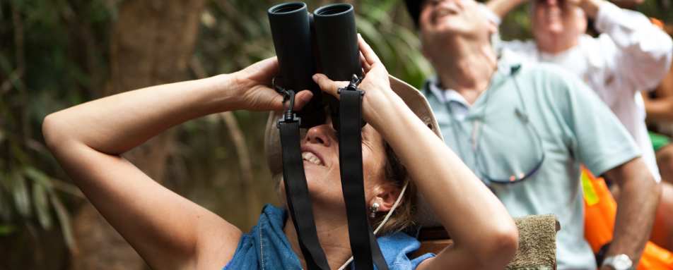 Wildlife spotting - Delfin III