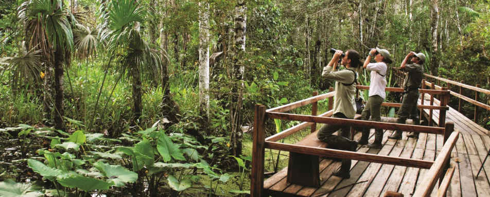 Viewing platform - Reserva Amazonica