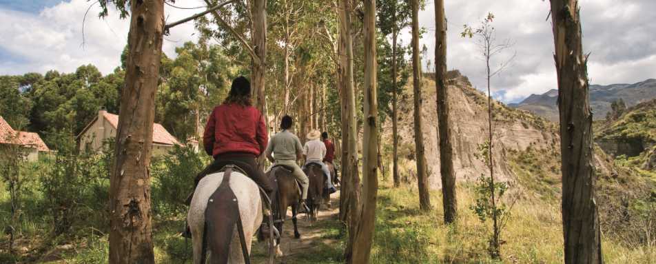Horseriding - Belmond Las Casitas