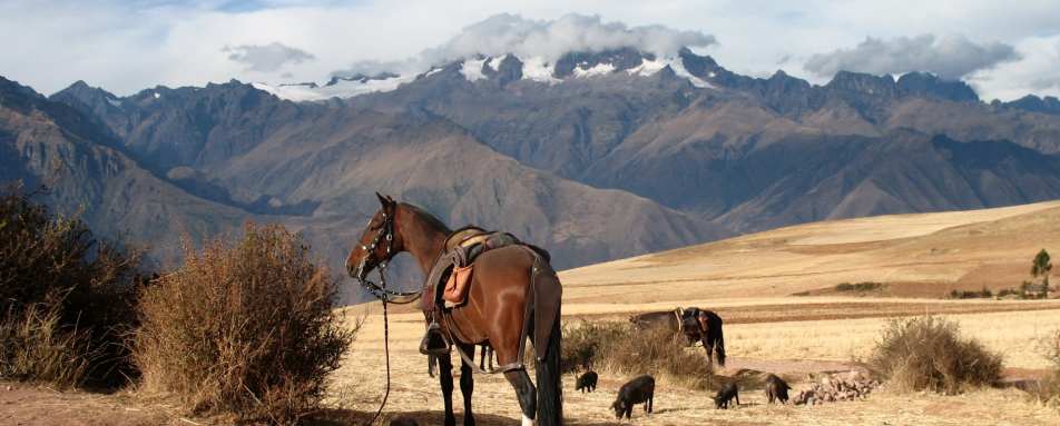 Sacred Valley Horse Riding Pisac