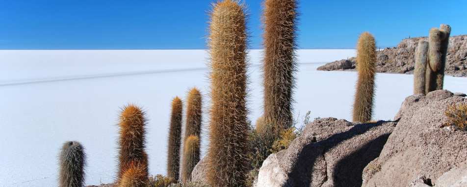 Uyuni salt flats 