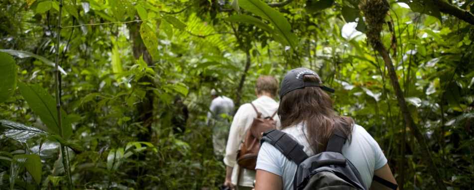  Amazon Trekking 