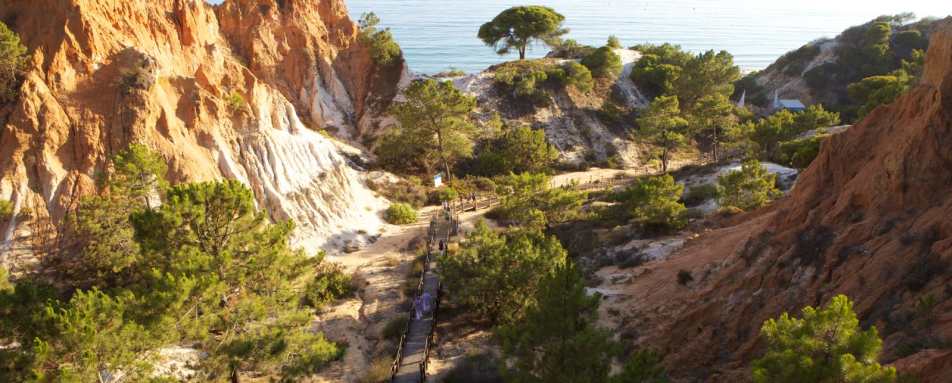 Beach access - Pine Cliffs