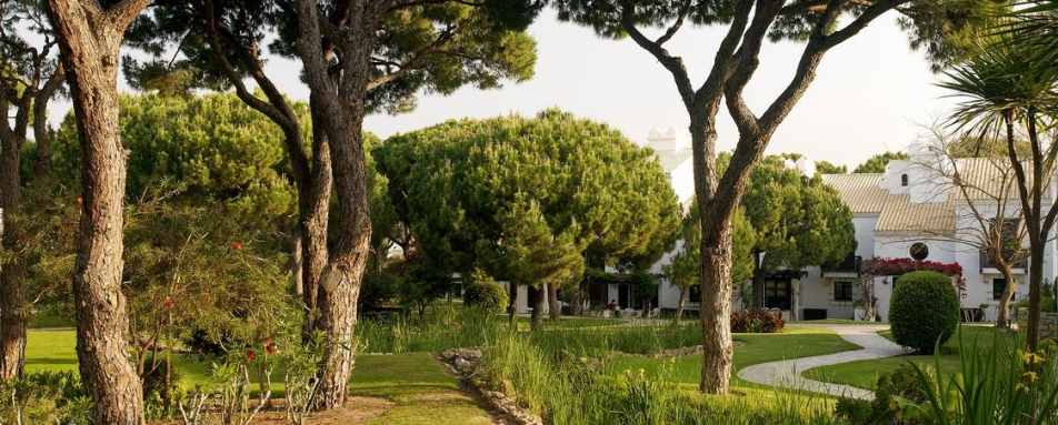 Gardens and pathways - Pine Cliffs