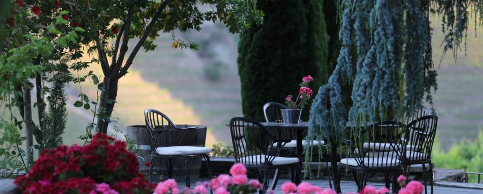 Terrace - Quinta Nova