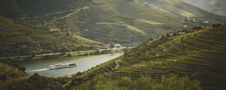 Douro Valley - Quinta Nova