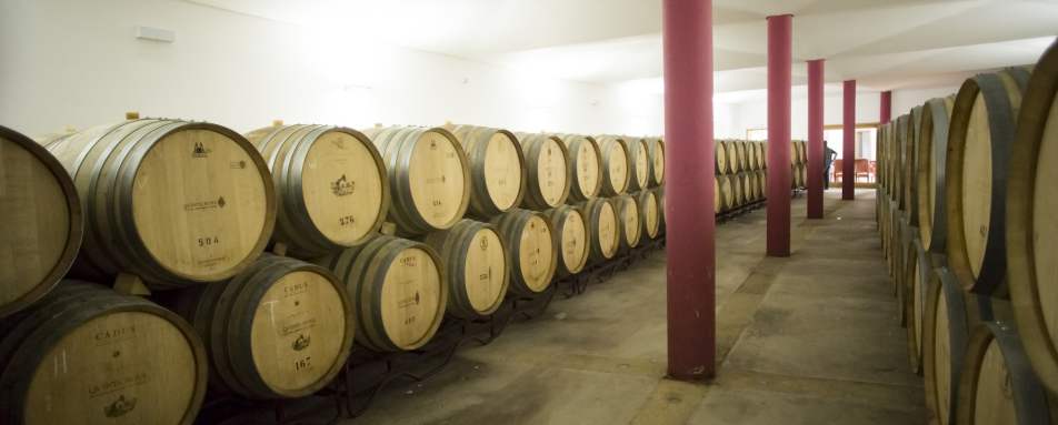 Winery - Quinta Nova