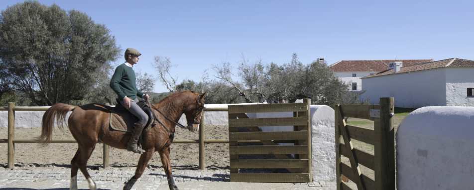 Horse riding at Sao Lourenco do Barrocal