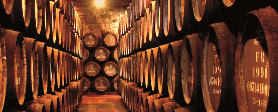 Private After Hours Visit to Taylors Port Cellars