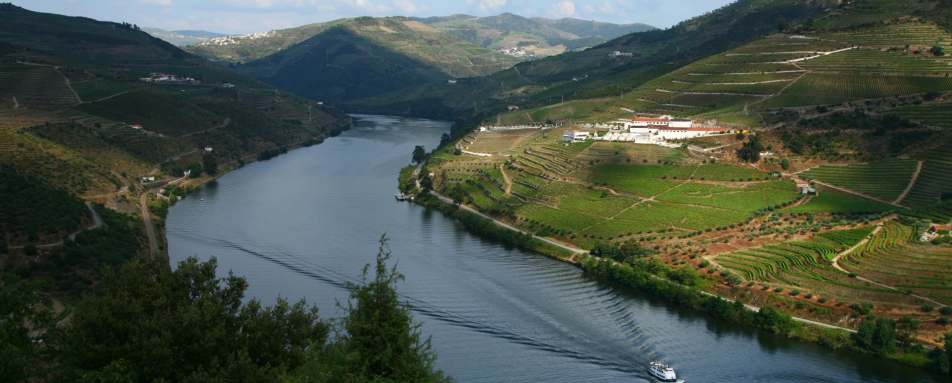 Private boat trip on the Douro