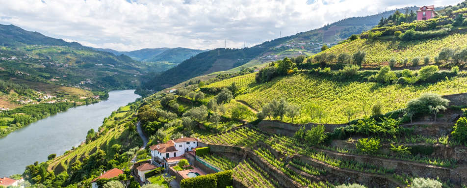 Private visit to Quinta do Bomfim