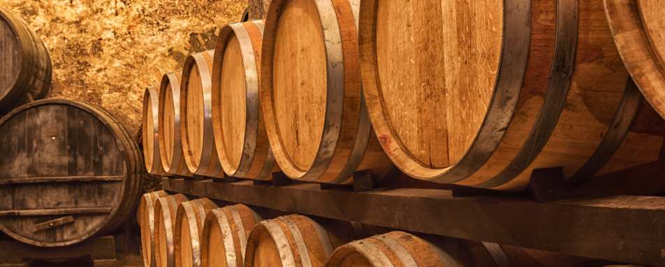 Tour of Taylors Port Cellar