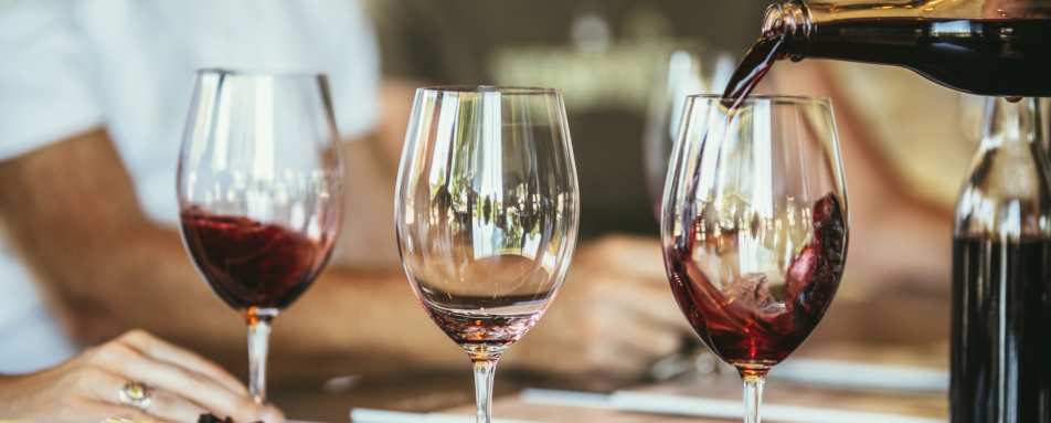 Wine tasting and lunch at Quinta do Casal Branco