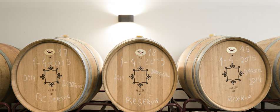 Wine tasting at Sao Lourenco do Barrocal