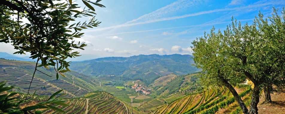 Douro Valley - Ultimate Portugal