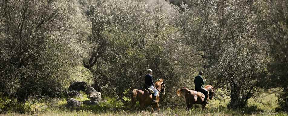 Horse riding - A family adventure in Portugal