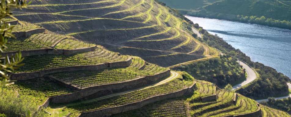 Douro Valley 