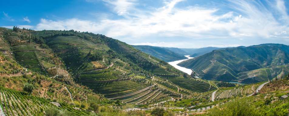 Douro Valley - Wine Country of Portugal: Porto and the Douro Valley