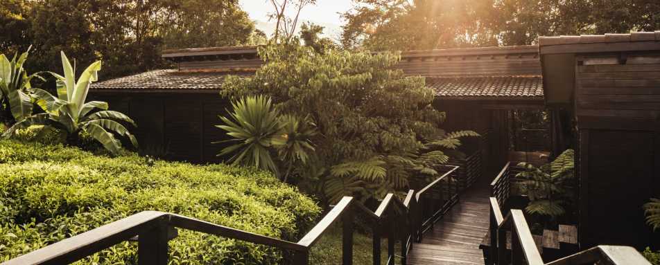 Room Exterior - Nyungwe House