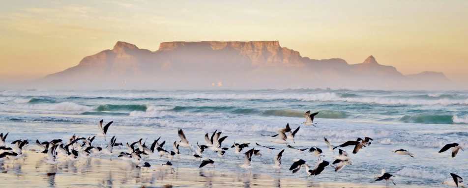 Cape Town - Twin Centre Rwanda and Cape Town