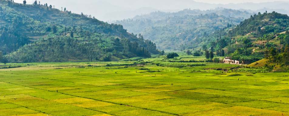 Farm land in Rwanda - Twin Centre Rwanda and Cape Town