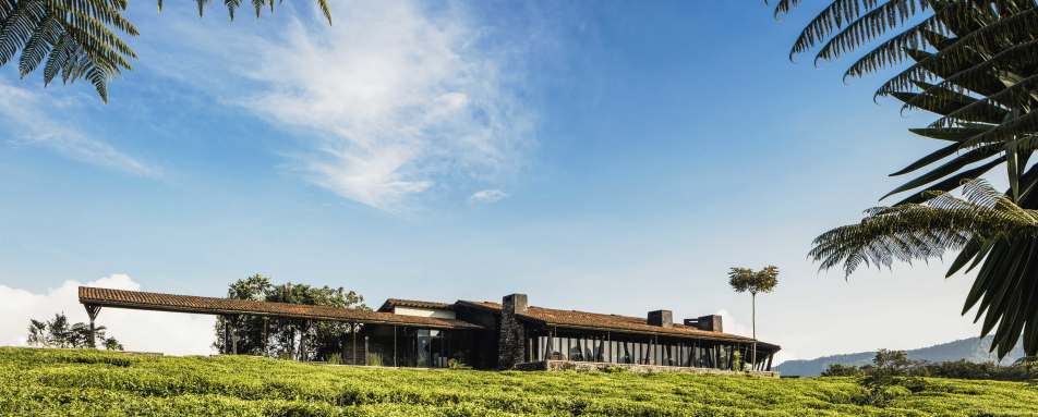 Nyungwe Forest Exterior  