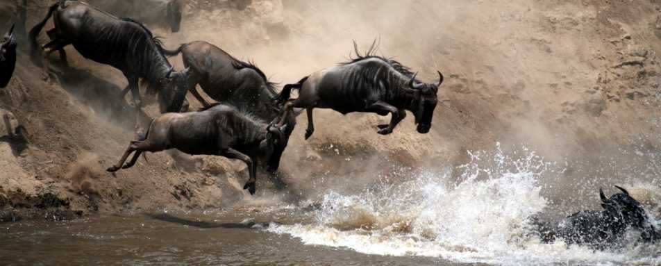 Serengeti - Rwanda and Tanzania in Ultimate Luxury