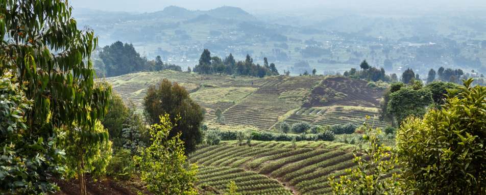 Rwanda - Rwanda and Tanzania in Ultimate Luxury